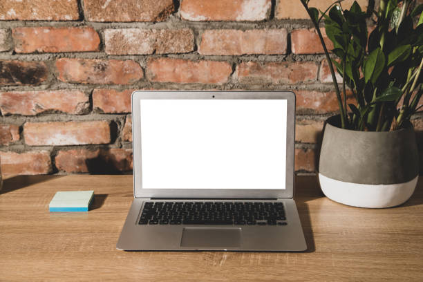 réussir-en-tant-qu-assistante-virtuelle